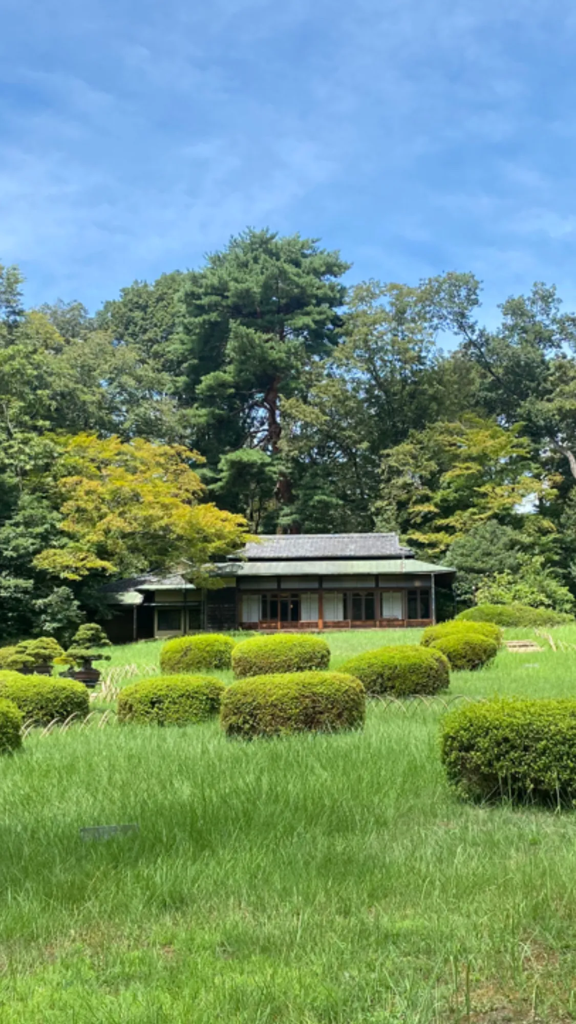 Meiji Jingu Gardens
